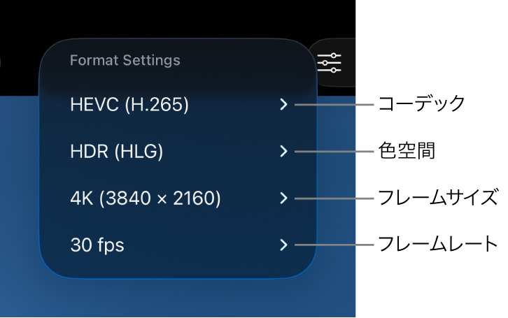 「フォーマット設定」メニュー。上から順に、コーデック、色空間、フレームサイズ、フレームレートの設定が表示されています。