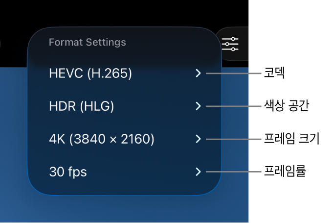 코덱, 색상 공간, 프레임 크기, 프레임률 설정을 상단에서 하단으로 보여주는 포맷 설정 메뉴