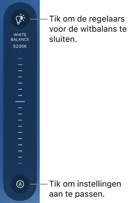 De draaiknop 'Witbalans', met onderaan een knop 'Auto'.