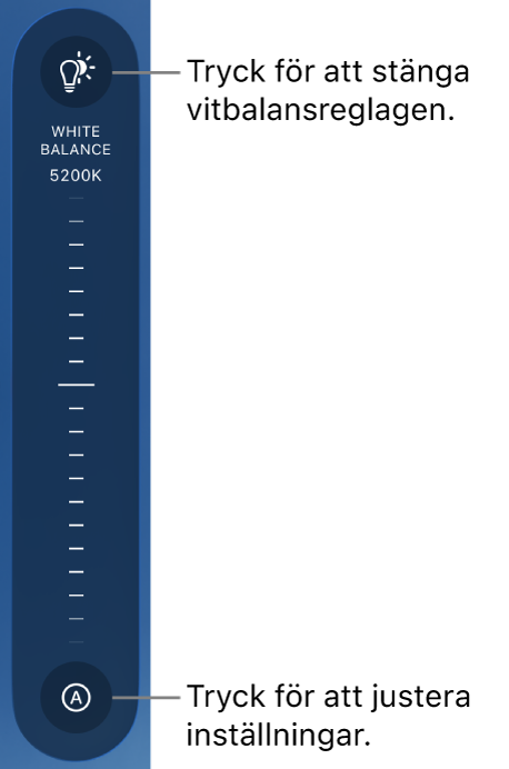 Vitbalansreglaget med en Auto-knapp längst ned.