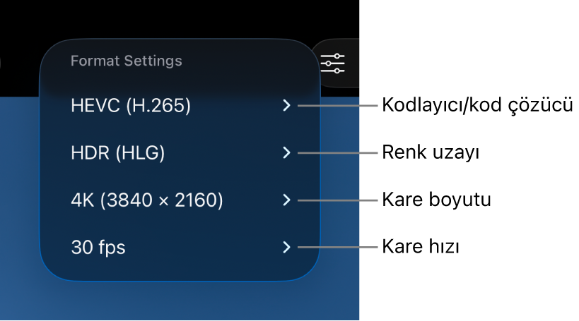 Yukarıdan aşağıya kod çözücü, renk uzayı, kare boyutu ve kare hızı ayarlarını gösteren Biçim Ayarları menüsü.