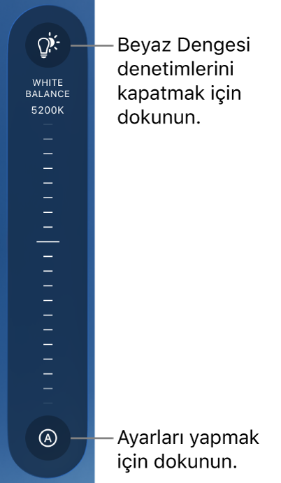 Altında Otomatik düğmesi bulunan Beyaz Dengesi kadranı.