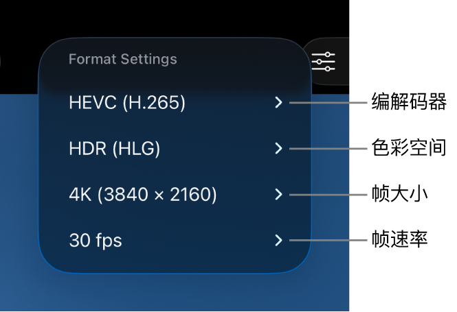 “格式设置”菜单从上到下依次显示编解码器、色彩空间、帧大小和帧速率设置。