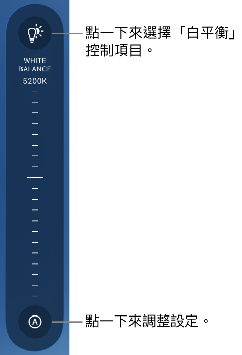 「白平衡」刻度盤，底部是「自動」按鈕。