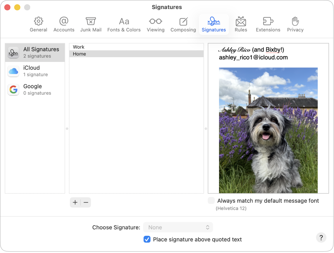 O painel “Assinaturas” das definições do Mail a mostrar uma assinatura com texto formatado e uma imagem.