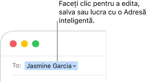 O Adresă inteligentă cu săgeata pe care puteți da clic pentru editare, salvare, sau lucrul cu o Adresă inteligentă.