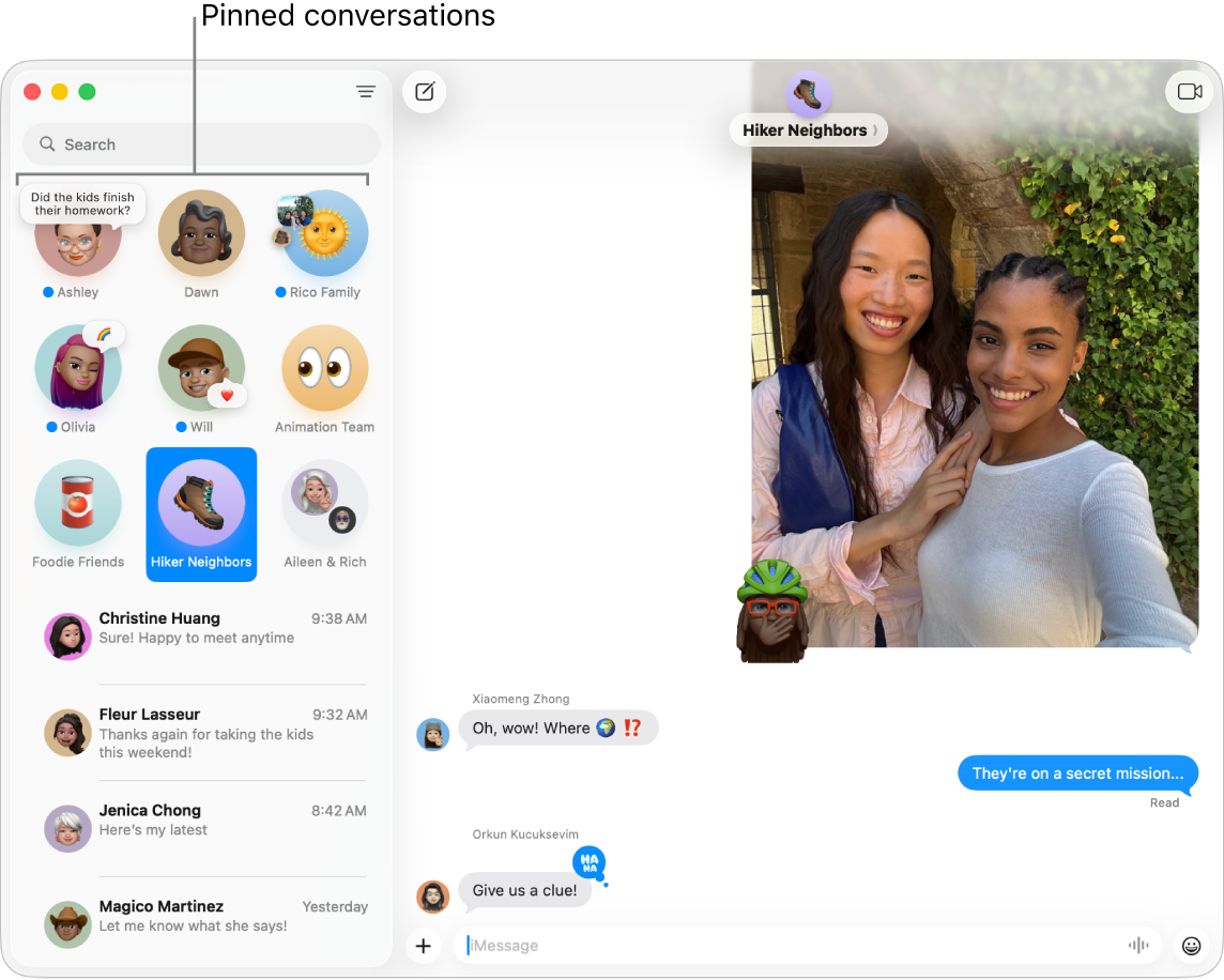 Messages with several conversations pinned on the left side of the window.