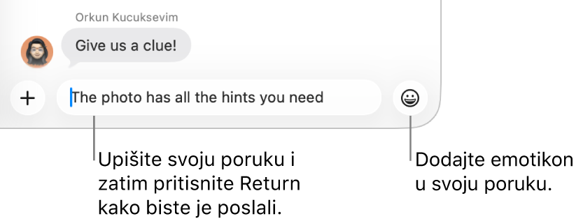 Transkript u prozoru Poruka s prikazom polja poruke na dnu prozora.