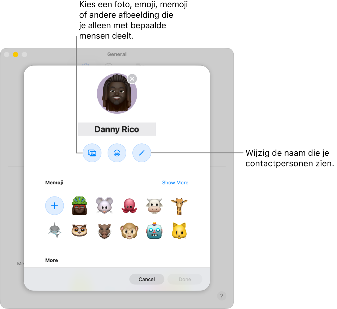 Het dialoogvenster 'Naam en foto delen' met opties voor het wijzigen van de naam van contactpersonen en het kiezen van een foto, emoji, memoji of een andere afbeelding.