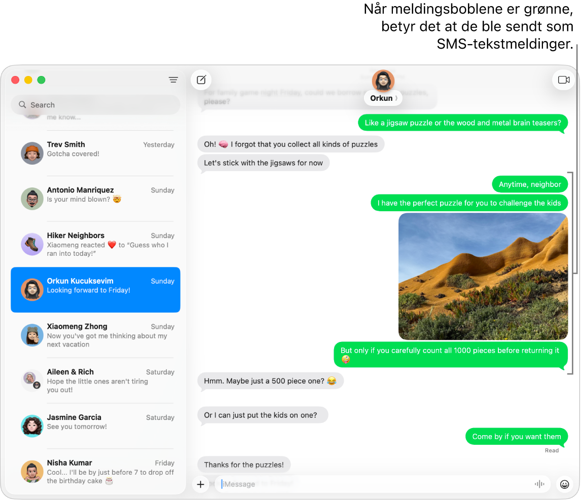 Meldinger-vinduet, med flere samtaler i sidepanelet til venstre og en logg til høyre. Meldingsboblene er grønne, noe som indikerer at de ble sendt som SMS-, MMS- eller RCS-meldinger.