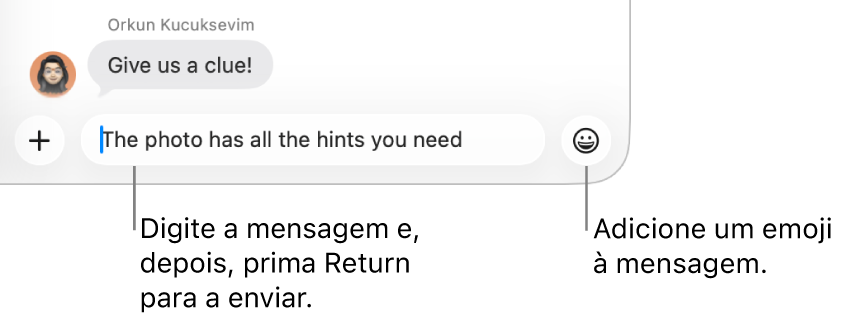 Uma transcrição na janela da aplicação Mensagens, com o campo de mensagem na parte inferior da janela.