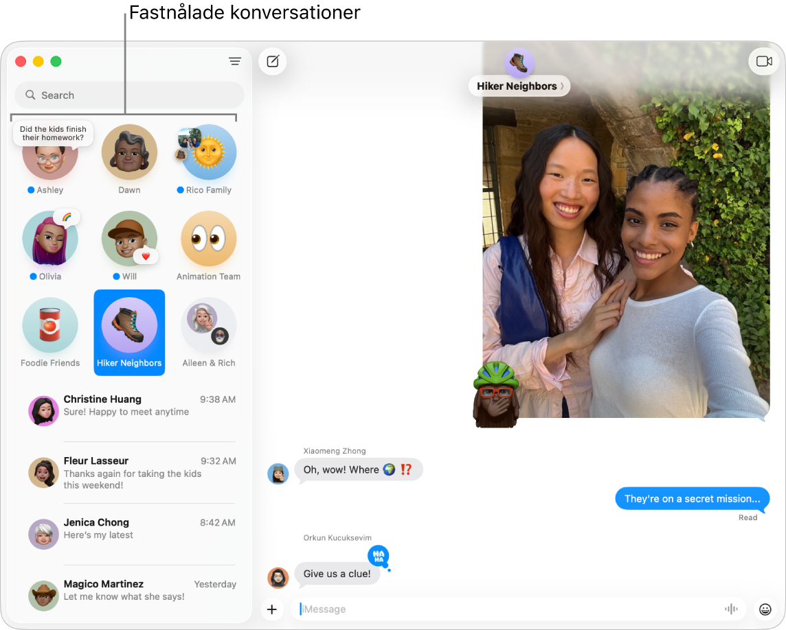 Meddelanden med flera konversationer som är fastnålade till vänster i fönstret.