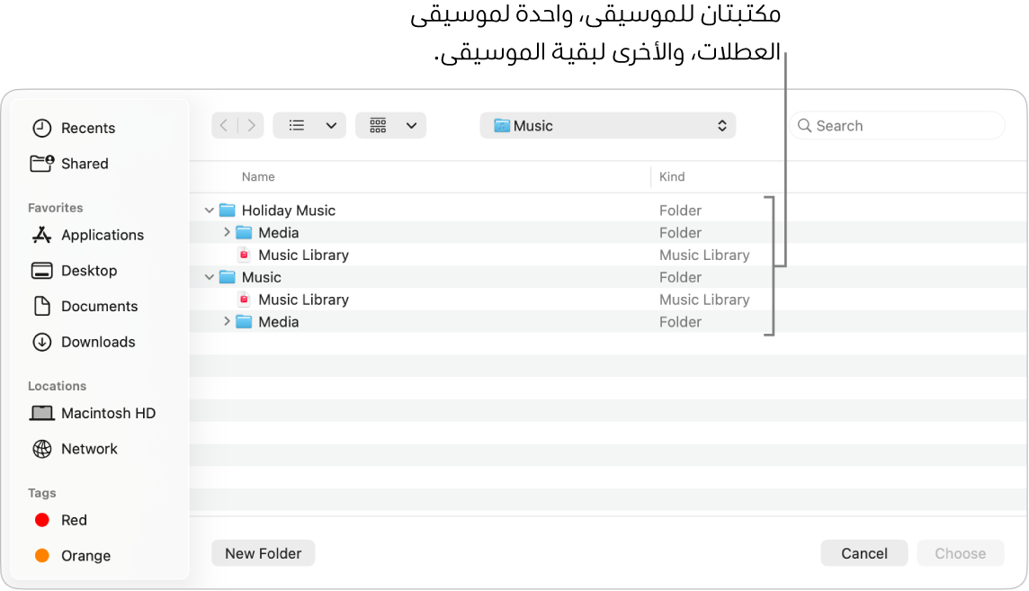 تعرض نافذة فايندر العديد من المكتبات—واحدة لموسيقى العطلات والأخرى لبقية الموسيقى.