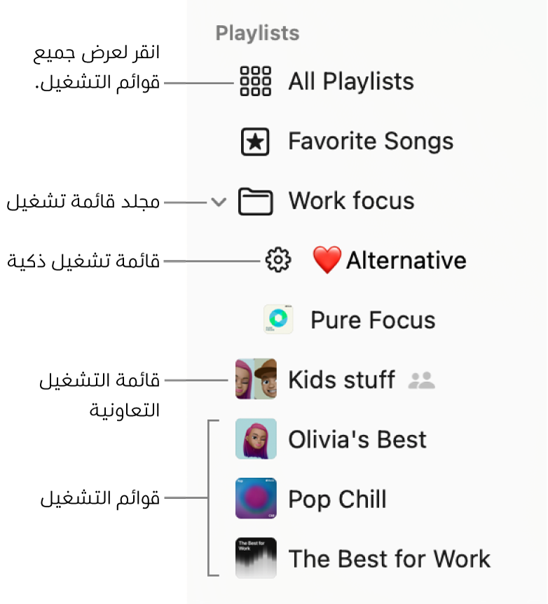 الشريط الجانبي للموسيقى يعرض مجلد قوائم التشغيل وأنواع قوائم التشغيل المختلفة: قائمة تشغيل الأغاني المفضلة وقائمة التشغيل الذكية وقائمة التشغيل التعاونية وقوائم التشغيل. انقر على كل قوائم التشغيل لعرضها كلها.
