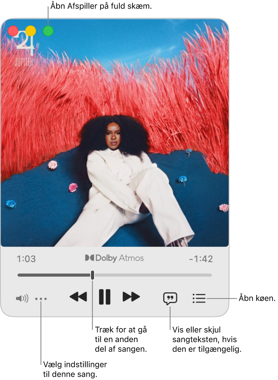 Udvidet Miniafspiller viser betjeningspanelet til den sang, der afspilles. I øverste venstre hjørne af vinduet er betjeningsmulighederne, der bruges til at åbne og lukke fuld skærm. Vinduets primære område viser albumbilleder til den sang, der afspilles. Under billedet vises et mærke, der bruges til at gå til en anden del af sangen, og knapper til at justere lydstyrken, vise sangtekster og åbne køen.