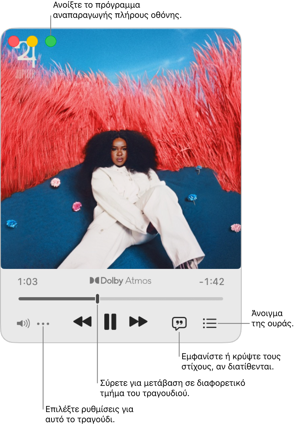 Το επεκτεταμένο MiniPlayer, που περιλαμβάνει στοιχεία ελέγχου για το τραγούδι το οποίο αναπαράγεται. Στην πάνω αριστερή γωνία βρίσκονται τα στοιχεία ελέγχου παραθύρου που χρησιμοποιούνται για άνοιγμα και κλείσιμο του προγράμματος αναπαραγωγής πλήρους οθόνης. Το βασικό τμήμα του παραθύρου εμφανίζει το εξώφυλλο του άλμπουμ για το τραγούδι που αναπαράγεται. Κάτω από το εξώφυλλο βρίσκεται ένα ρυθμιστικό για μετακίνηση σε ένα διαφορετικό τμήμα του τραγουδιού, και κουμπιά για προσαρμογή της έντασης ήχου, εμφάνιση στίχων και άνοιγμα της ουράς.