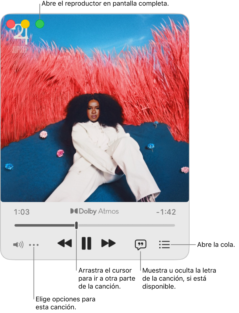 El mini reproductor ampliado que muestra los controles de la canción que se está reproduciendo. Los controles de la ventana que se usan para abrir y cerrar el reproductor en pantalla completa se encuentran en la esquina superior izquierda. La parte principal de la ventana muestra la ilustración de la canción que se está reproduciendo. Debajo de la ilustración hay un regulador para desplazarse a una parte diferente de la canción, junto con botones para ajustar el volumen, mostrar la letra y abrir la fila.