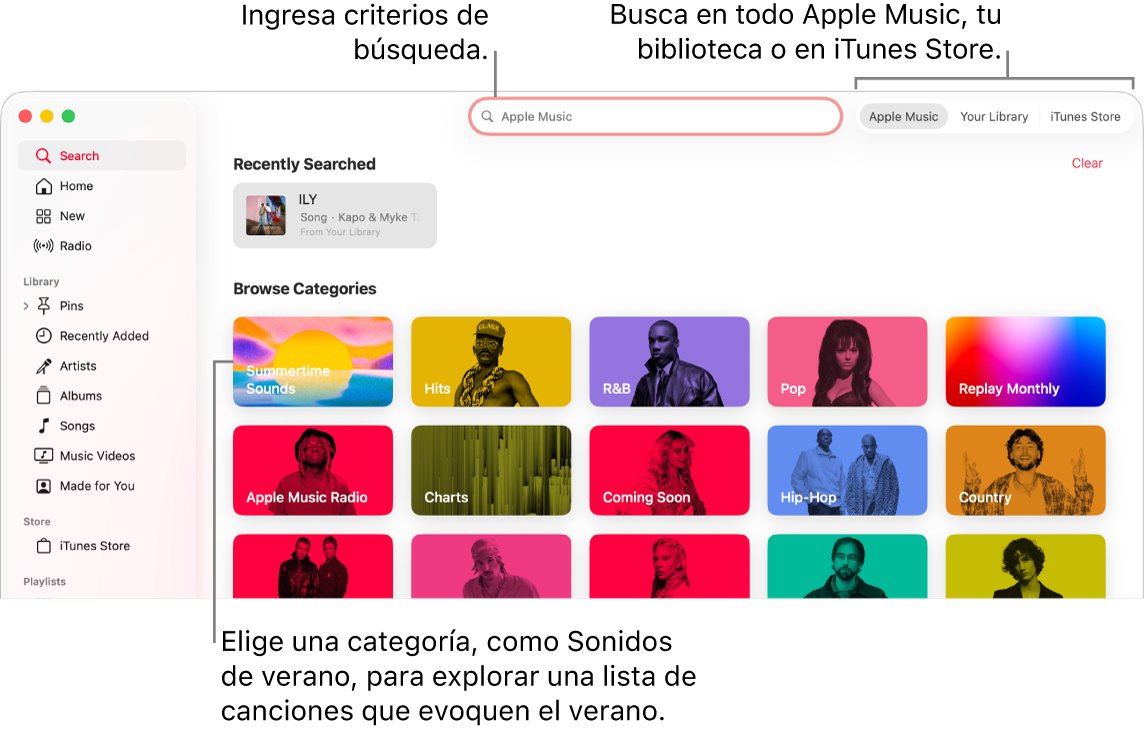La ventana de Apple Music mostrando el campo de búsqueda en la esquina superior izquierda, la lista de categorías en el centro de la ventana, y la opción Apple Music, Tu biblioteca o iTunes Store disponible en la esquina superior derecha. Ingresa criterios de búsqueda en el campo de búsqueda y selecciona buscar en todo Apple Music, sólo en tu biblioteca o iTunes Store.