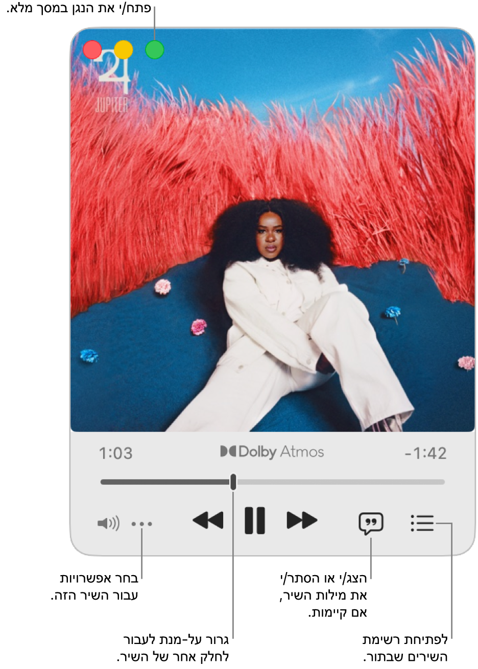 הנגן המוקטן במצבו המורחב, מציג את כלי הבקרה עבור השיר שמתנגן. בפינה העליונה מופיעים פקדי החלון, המשמשים לפתיחה ולסגירה של ״נגן במסך מלא״. החלק הראשי של החלון מציג את עטיפת האלבום של השיר המושמע. מתחת לעטיפת האלבום מופיעים מחוון למעבר לחלק אחר של השיר וכפתורים לכוונון עוצמת הקול, להצגת המילים ולפתיחת התור.