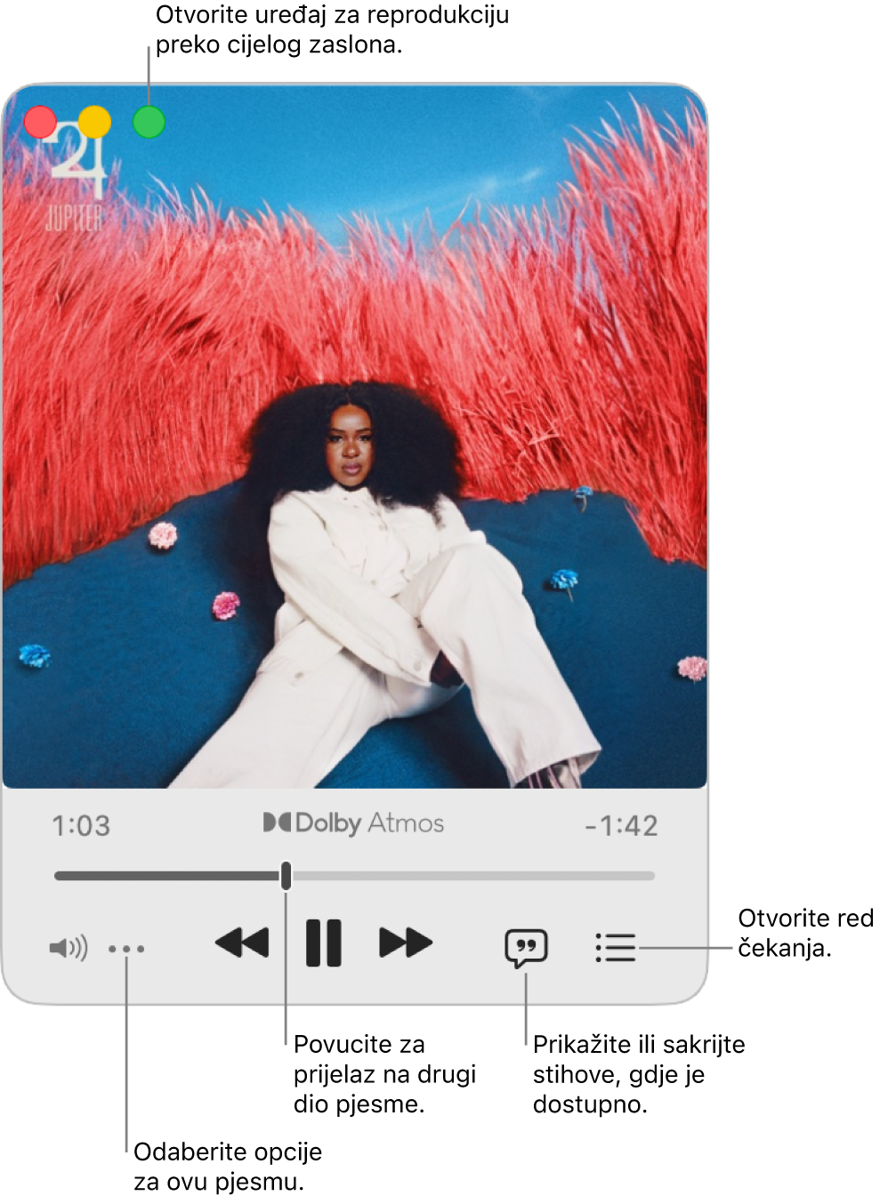 Prošireni MiniPlayer prikazuje kontrole za pjesmu koja se reproducira. U gornjem lijevom kutu nalaze se kontrole prozora koje se koriste za otvaranje i zatvaranje Uređaja za reprodukciju preko cijelog zaslona. Glavni dio prozora omot albuma za pjesmu koja se reproducira. Ispod omota nalazi se kliznik za prebacivanje na različiti dio pjesme i tipke za prilagodbu glasnoće, prikaz riječi te otvaranje reda čekanja.