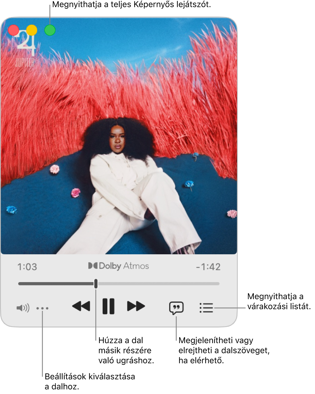 A kibővített Mini lejátszó, amelyen az aktuálisan lejátszott dal vezérlői láthatók. A bal felső sarokban találhatók az ablakvezérlők, amelyekkel megnyithatja és bezárhatja a Teljes képernyős lejátszót. Az ablak fő része megjeleníti az éppen lejátszott dal albumborítóját. Az albumborító alatt egy csúszka látható, amellyel a dal különböző részeire ugorhat, illetve a hangerő módosítására, a dalszövegek megjelenítésére és a lejátszási sor megjelenítésére szolgáló gombok.