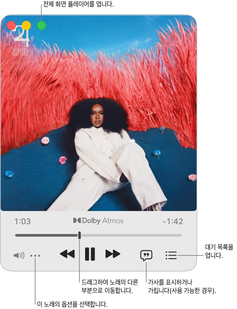 재생 중인 노래의 제어기를 표시하는 확장된 미니 플레이어. 전체 화면 플레이어를 열고 닫는 데 사용되는 윈도우 제어기가 왼쪽 상단 모서리에 있음. 윈도우의 메인 부분은 재생 중인 노래의 앨범 표지를 표시함. 앨범 표지 아래에는 노래의 다른 부분으로 이동할 수 있는 슬라이더와 음량을 조절하거나 가사를 표시하거나 대기 목록을 열 수 있는 버튼이 있음.