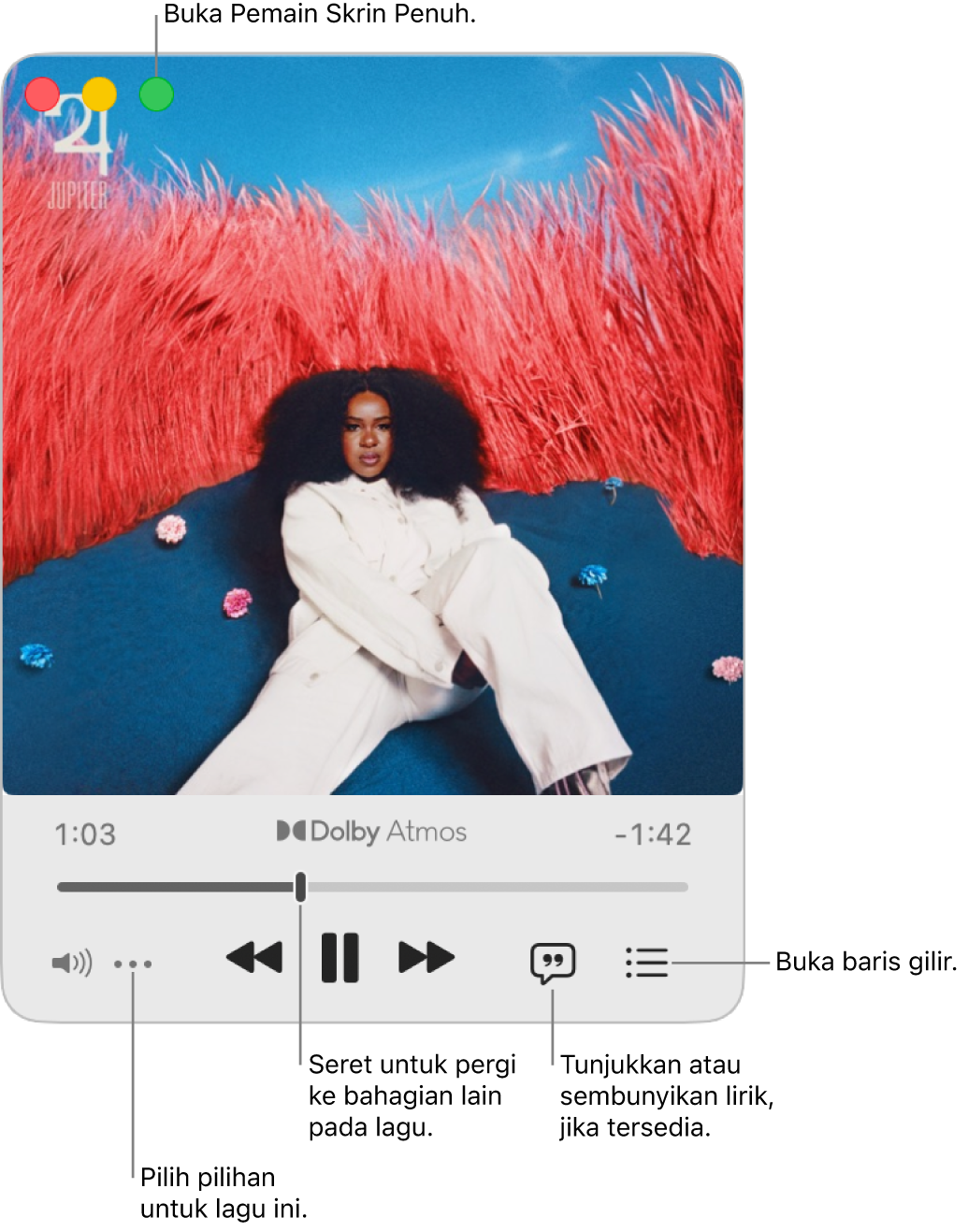 Pemain Mini dikembangkan menunjukkan kawalan untuk lagu yang sedang dimainkan. Di bahagian penjuru kiri atas ialah kawalan tetingkap yang digunakan untuk membuka dan menutup Pemain Skrin Penuh. Bahagian utama tetingkap menunjukkan karya seni album untuk lagu yang sedang dimainkan. Di bawah karya seni ialah gelangsar untuk beralih ke bahagian berbeza lagu dan butang untuk melaraskan kelantangan, menunjukkan lirik dan membuka baris gilir.