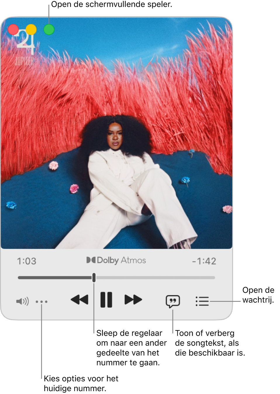 De volledige minispeler met de regelaars voor het nummer dat wordt afgespeeld. In de linkerbovenhoek zie je de vensterregelaars, die je gebruikt om de schermvullende speler te openen en te sluiten. In het hoofdgedeelte van het venster wordt de albumillustratie weergegeven voor het nummer dat wordt afgespeeld. Onder de illustratie staan een schuifknop om naar een ander deel van het nummer te gaan en knoppen om het volume te regelen, songteksten weer te geven en de wachtrij te openen.