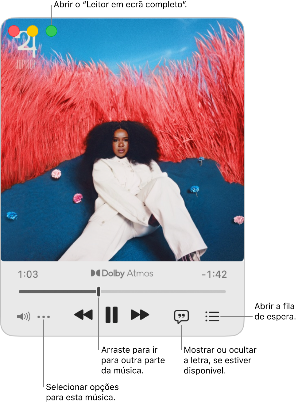 O mini-leitor expandido mostra os controlos relativos à música que está a ser reproduzida. No canto superior esquerdo encontram-se os controlos de janela, que servem para abrir e fechar o leitor em ecrã completo. A parte principal da janela mostra o grafismo do álbum para a música que está a ser reproduzida. Por baixo do grafismo encontra‑se um nivelador para ir para outra parte da música e os botões para ajustar o volume, mostrar a letra e abrir a fila de espera.