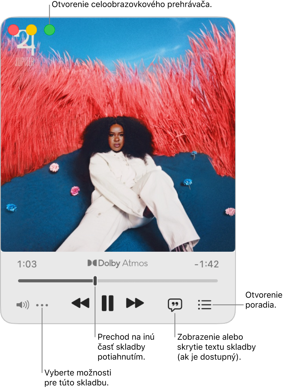 Rozbalený Miniprehrávač zobrazujúci ovládacie prvky skladby, ktorá sa práve prehráva. V ľavom hornom rohu sú ovládacie prvky okna, ktoré slúžia na otvorenie a zatvorenie prehrávača na celej obrazovke. Hlavná časť okna zobrazuje obal albumu práve prehrávanej skladby. Pod obalom albumu sa nachádza posuvník na posúvanie do inej časti skladby a tlačidlá na úpravu hlasitosti, zobrazenie textu a otvorenie poradovníka.