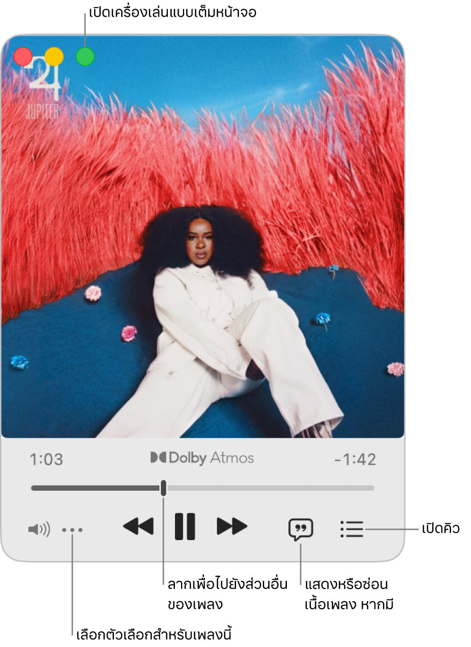 เครื่องเล่นขนาดเล็กที่ขยายออกแล้วซึ่งแสดงตัวควบคุมของเพลงที่กำลังเล่น ที่มุมซ้ายบนสุดคือตัวควบคุมหน้าต่างที่ใช้เปิดและปิดเครื่องเล่นแบบเต็มหน้าจอ ส่วนหลักของหน้าต่างแสดงภาพหน้าปกอัลบั้มสำหรับเพลงที่กำลังเล่น ด้านล่างภาพหน้าปกคือแถบเลื่อนเพื่อเลื่อนไปยังส่วนอื่นของเพลง และปุ่มเพื่อปรับระดับเสียง แสดงเนื้อเพลง และเปิดคิว