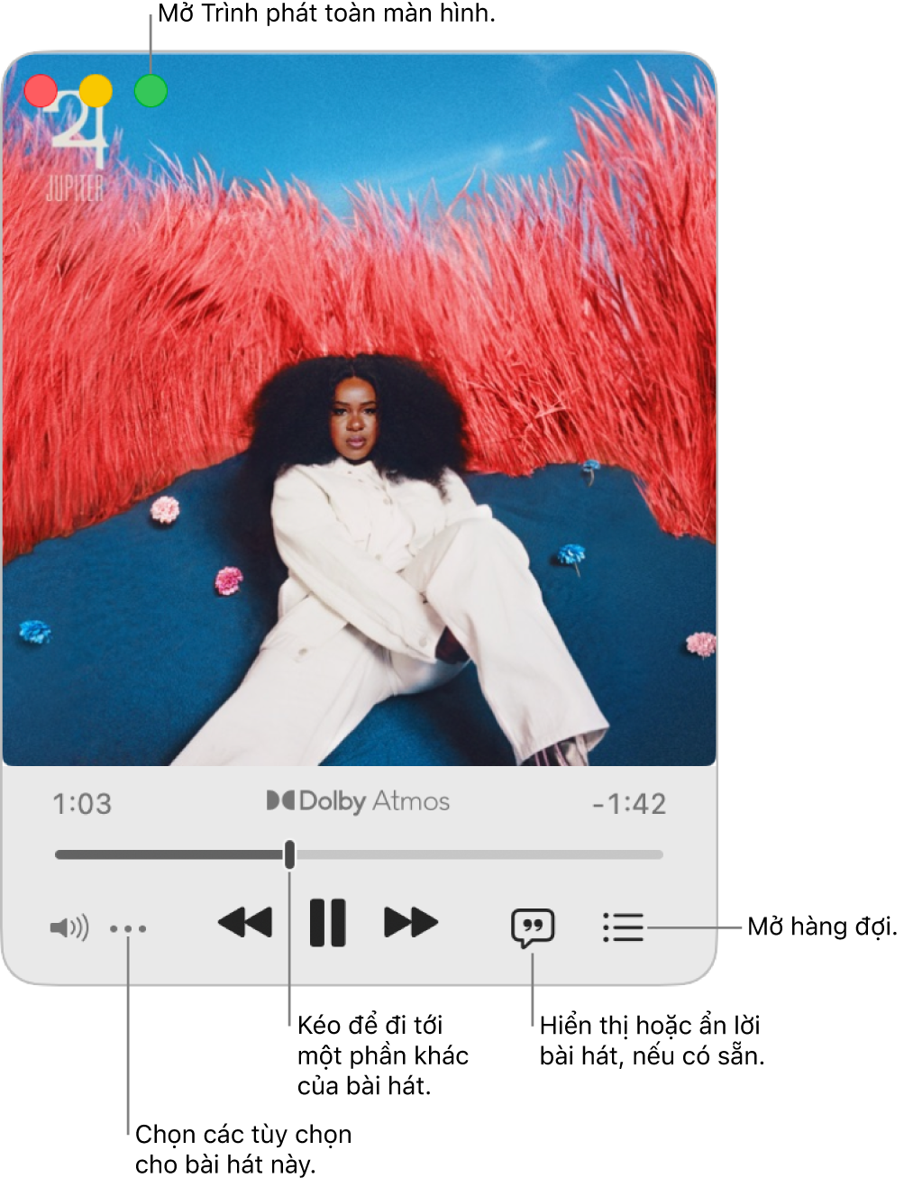 MiniPlayer được mở rộng hiển thị các điều khiển cho bài hát đang phát. Ở góc trên cùng bên trái là các điều khiển cửa sổ được sử dụng để mở và đóng Trình phát toàn màn hình. Phần chính của cửa sổ hiển thị hình minh họa album cho bài hát đang phát. Bên dưới hình minh họa là một thanh trượt để di chuyển sang một phần khác của bài hát và các nút để điều chỉnh âm lượng, hiển thị lời bài hát, cũng như mở hàng đợi.