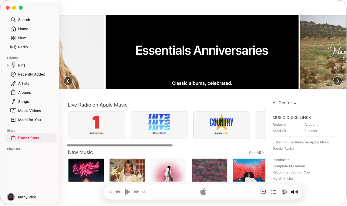 iTunes Store 主窗口:iTunes Store 在边栏中高亮标记。