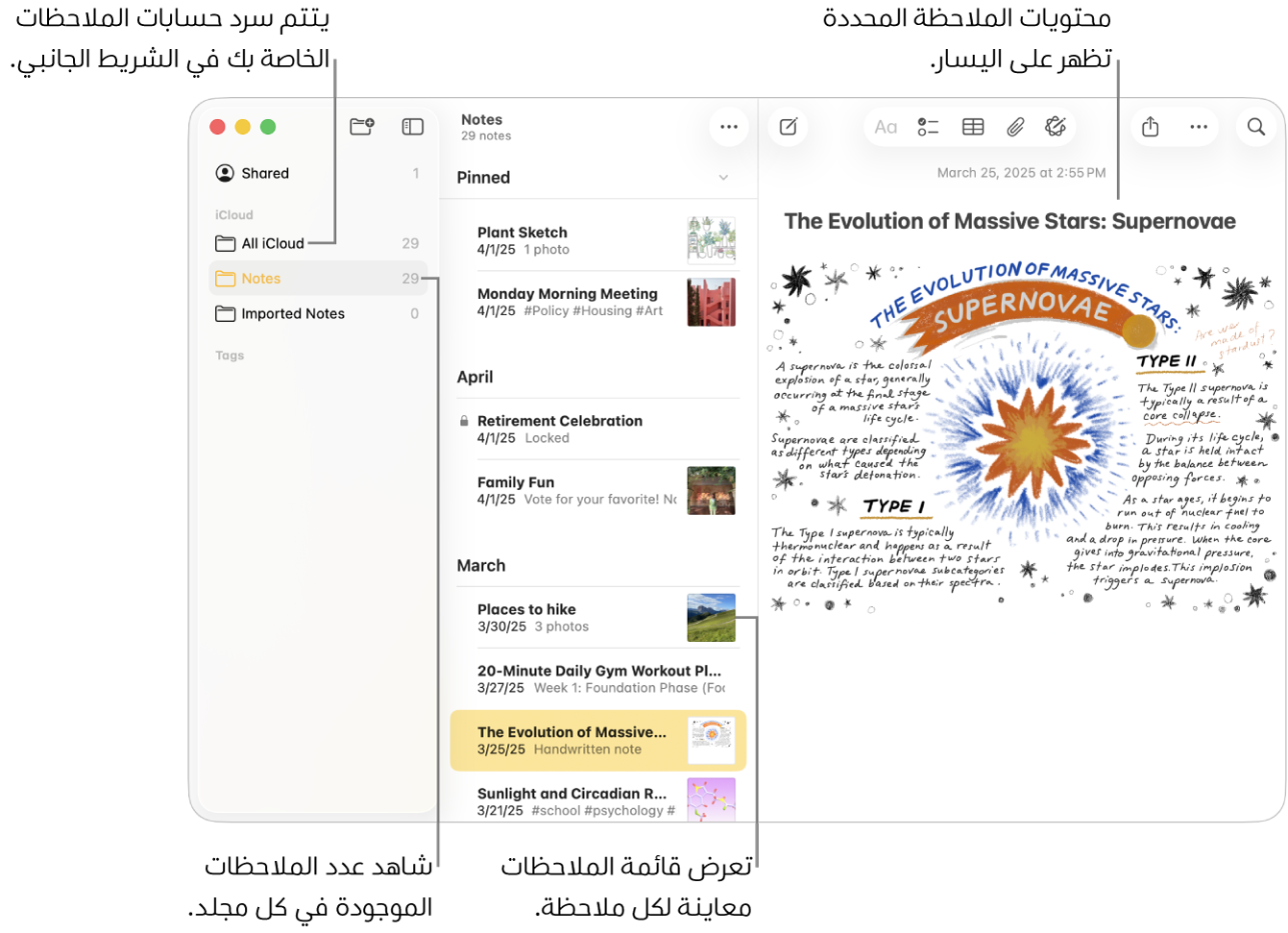 نافذة تطبيق الملاحظات على Mac وبها كل حساباتك ومجلداتك المكوَّنة مدرجة في الشريط الجانبي على اليمين، وقائمة الملاحظات في المنتصف تعرض معاينة لكل ملاحظة، ومحتوى الملاحظة المحددة ظاهر على اليسار. يظهر عدد الملاحظات بجوار كل مجلد.