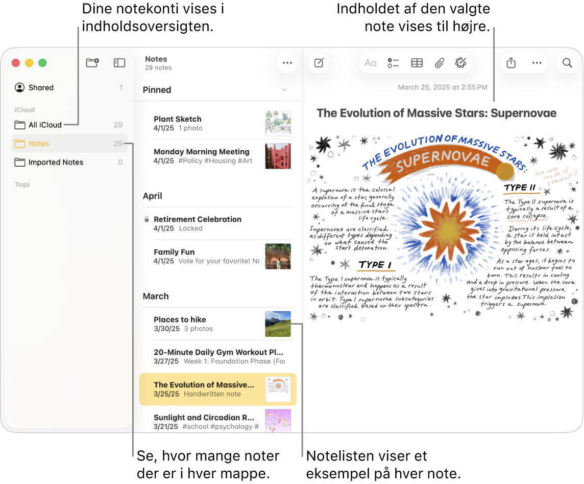 Et vindue i appen Noter på Mac med alle konfigurerede konti og mapper i indholdsoversigten til venstre. Notelisten i midten viser et eksempel på hver note, og indholdet i den valgte note vises til højre. Antallet af noter vises ud for hver mappe.