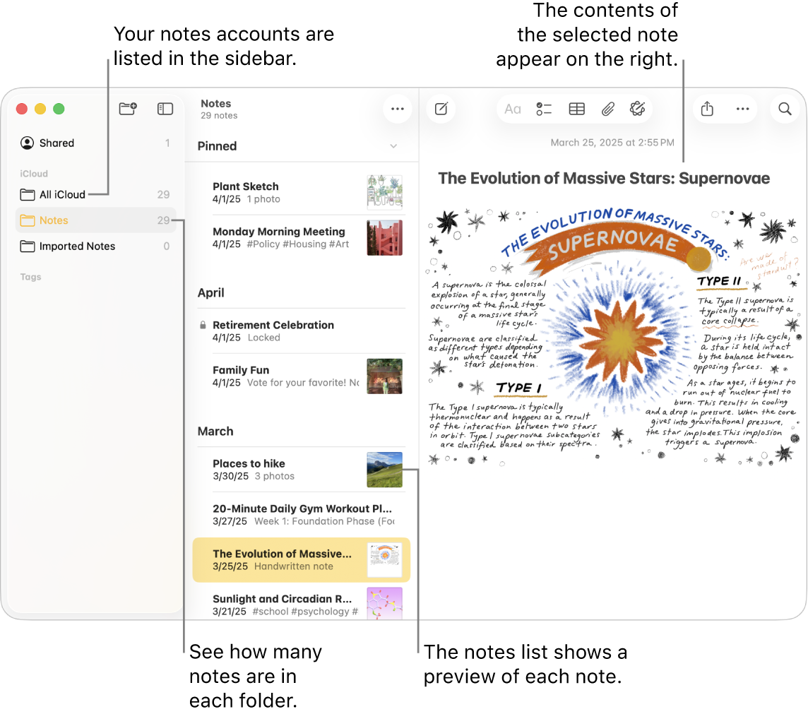 A Notes app window on Mac with all configured accounts and folders listed in the sidebar on the left, the list of notes in the middle showing a preview of each note, and the content of the selected note appearing on the right. The number of notes appears next to each folder.