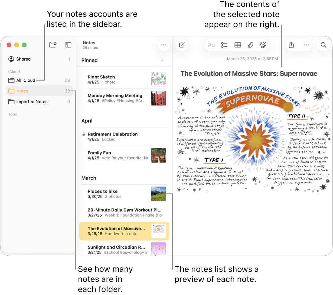 A Notes app window on Mac with all configured accounts and folders listed in the sidebar on the left, the list of notes in the middle showing a preview of each note, and the content of the selected note appearing on the right. The number of notes appears next to each folder.