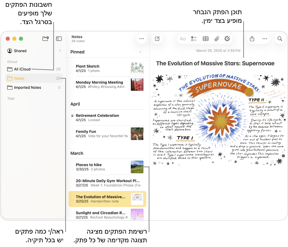 חלון של היישום ״פתקים״ ב-Mac עם רשימה של כל החשבונות והתיקיות שהגדרת בסרגל הצד מימין, רשימת הפתקים באמצע עם תצוגה מקדימה של כל פתק, והתוכן של הפתק הנבחר משמאל. מספר הפתקים מופיע לצד כל תיקייה.