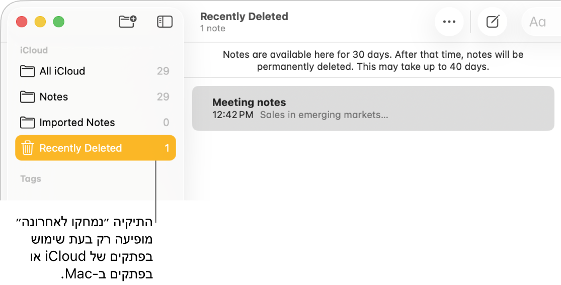 החלון ״פתקים״ עם התיקיה ״נמחקו לאחרונה״ בסרגל הצד ועם פתק שנמחק לאחרונה. כשמשתמשים בפתקי iCloud או בפתקים המאוחסנים ב‑Mac, ניתן לראות רק את תיקיית ״נמחקו לאחרונה״.
