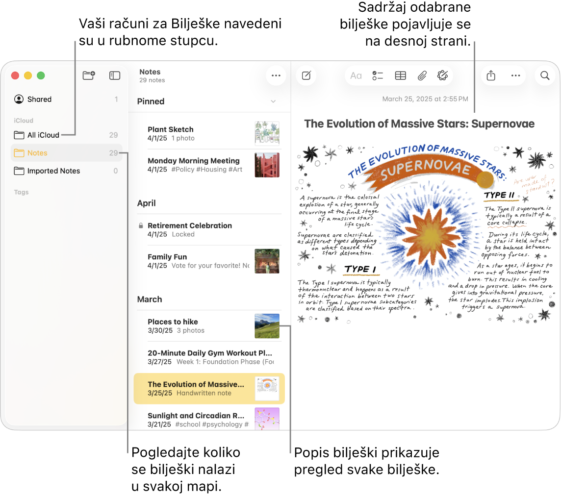 Prozor aplikacije Bilješke na Macu sa svim konfiguriranim računima i mapama nalazi se u rubnom stupcu na lijevoj strani, popis bilješki u sredini prikazuje pregled svake bilješke, a sadržaj odabrane bilješke pojavljuje se na desnoj strani. Broj bilješki pojavljuje se desno od svake mape.