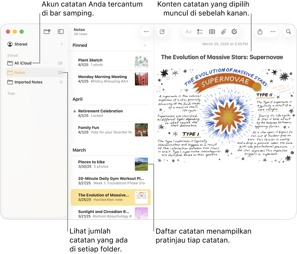 Jendela Catatan di Mac dengan semua akun serta folder yang dikonfigurasikan tercantum di bar samping di kikir, daftar catatan di tengah menampilkan pratinjau tiap catatan, dan konten catatan yang dipilih muncul di kanan. Jumlah catatan muncul di samping tiap folder.