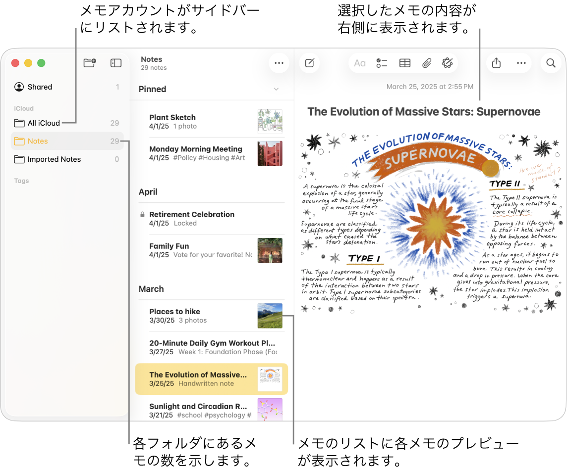 Macのメモアプリのウインドウ。左側のサイドバーにはすべての構成されたアカウントおよびフォルダが一覧表示され、中央のメモリストには各メモのプレビュー、右側には選択されたメモの内容が表示されています。各フォルダの横にメモの数が表示されています。