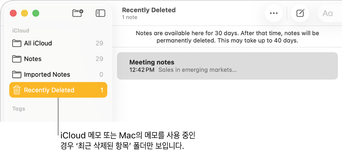 사이드바에 최근 삭제된 항목 폴더와 최근 삭제된 메모가 있는 메모 앱 윈도우. iCloud 메모를 사용하거나 Mac에서 메모를 사용하는 경우, 최근 삭제된 항목 폴더만 나타남.