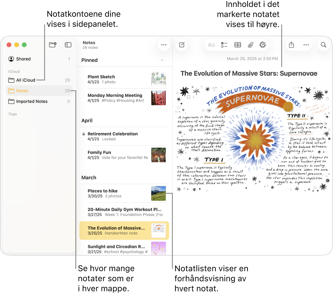 Et Notater-vindu på Mac med alle konfigurerte kontoer og mapper i sidepanelet til venstre, listen over notater i midten, som viser en forhåndsvisning av hvert notat, og innholdet i det markerte notatet til høyre. Antallet notater vises ved siden av hver mappe.