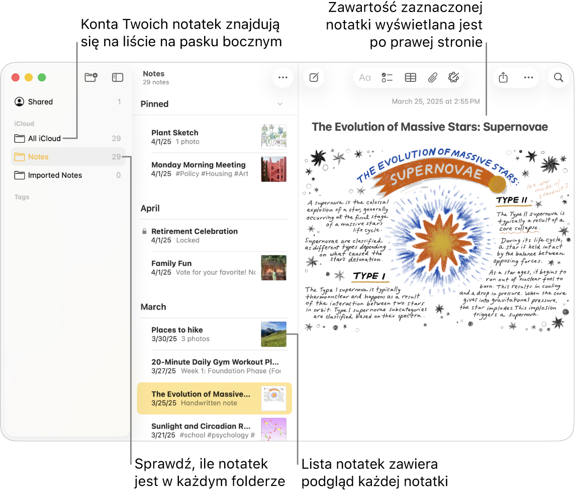 Okno aplikacji Notatki na Macu, zawierające listę wszystkich skonfigurowanych kont i folderów, widoczną na pasku bocznym po lewej. Na środku okna znajduje się lista notatek, pokazująca podgląd każdej notatki. Po prawej stronie okna widoczna jest zawartość aktualnie zaznaczonej notatki. Obok każdego folderu widoczna jest liczba znajdujących się w nim notatek.