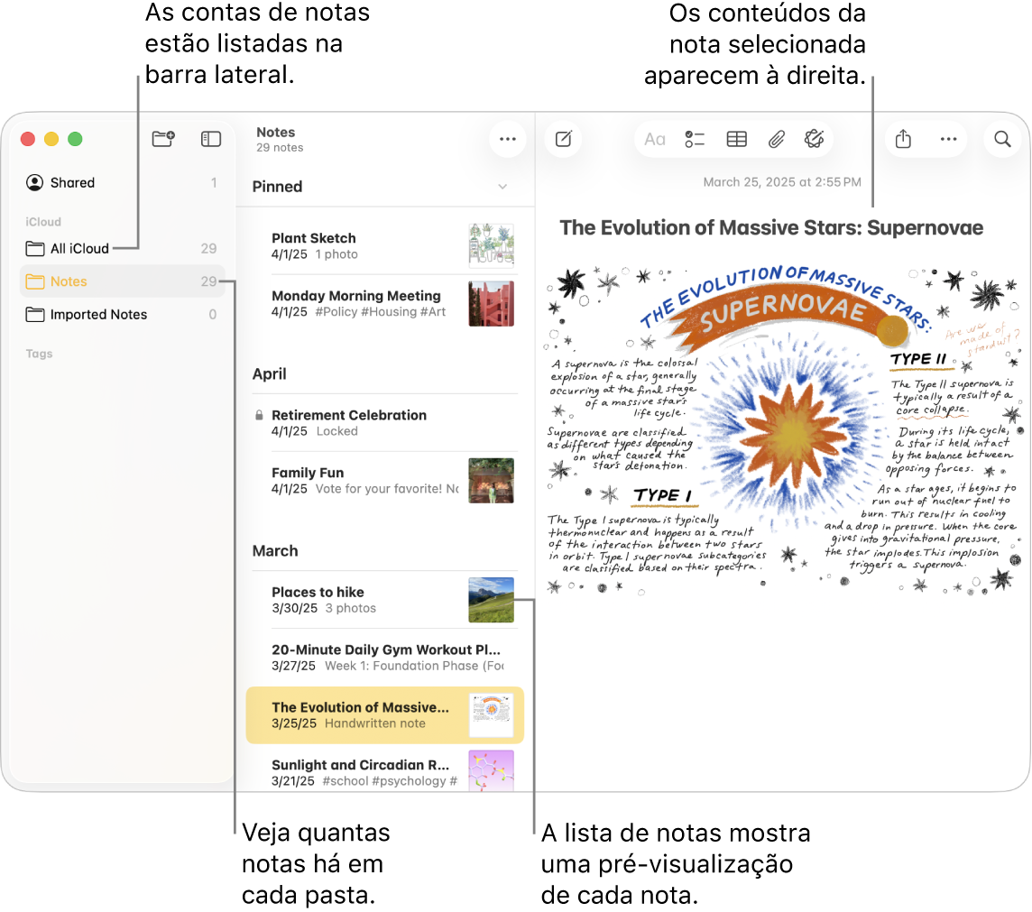 Uma janela do app Notas no Mac com todas as contas configuradas e pastas listadas na barra lateral à esquerda, a lista de notas no meio mostrando a pré-visualização de cada uma delas e o conteúdo da nota selecionada à direita. O número de notas aparece ao lado de cada pasta.