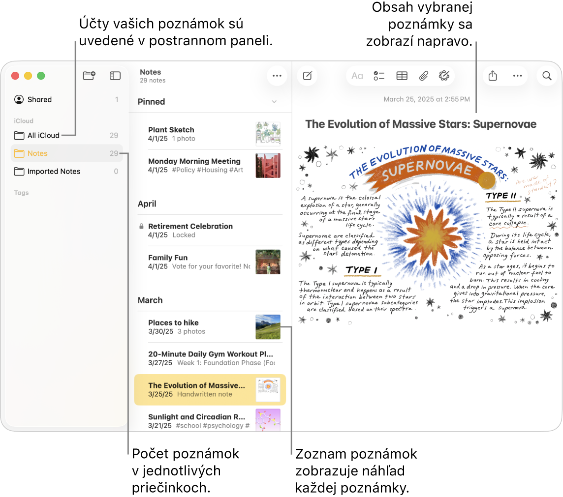 Okno Poznámky na Macu so všetkými nakonfigurovanými účtami a priečinkami zobrazenými v postrannom paneli naľavo, zoznam poznámok v strede zobrazujúci náhľad každej poznámky a obsah vybranej poznámky zobrazený napravo. Počet poznámok sa zobrazí vedľa každého priečinka.