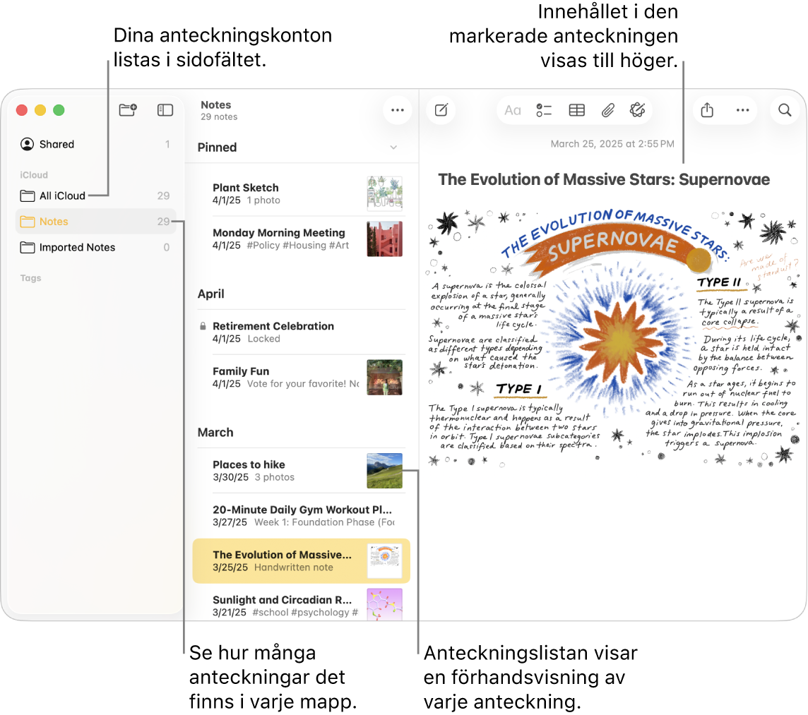 Ett fönster i Anteckningar på datorn med alla konfigurerade konton och mappar listade i sidofältet till vänster, listan med anteckningar i mitten visar en förhandsvisning av varje anteckning och innehållet i den valda anteckningen visas till höger. Antalet anteckningar visas bredvid varje mapp.