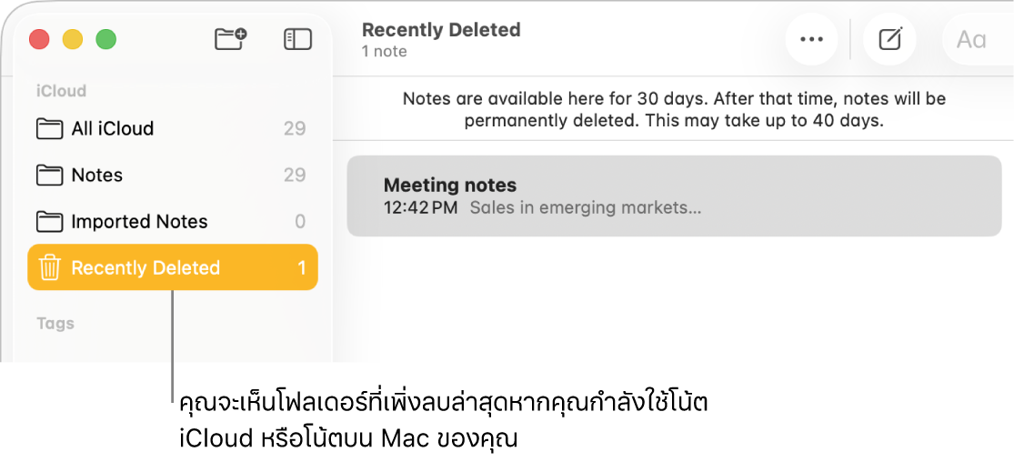 หน้าต่างโน้ตที่มีโฟลเดอร์ที่ลบล่าสุดในแถบด้านข้างและโน้ตที่ลบล่าสุด คุณจะเห็นเฉพาะโฟลเดอร์ที่ลบล่าสุดหากคุณใช้โน้ตบน iCloud หรือโน้ตบน Mac ของคุณ