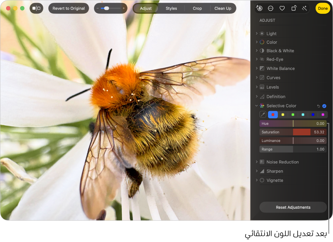 صورة بعد تعديل اللون الانتقائي، تُظهر زيادة في تشبع اللون.